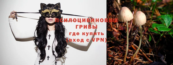 дурь Бородино