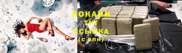 дурь Бронницы