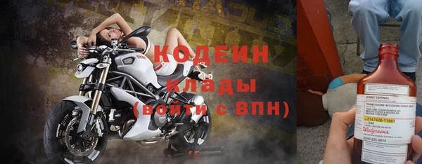 дурь Бородино