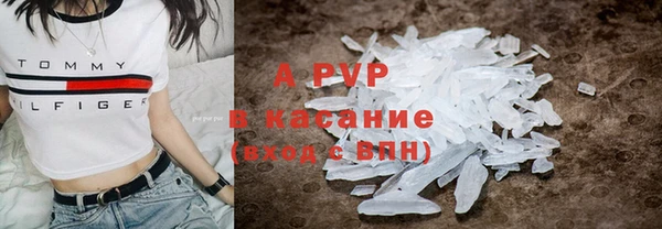 дурь Бородино